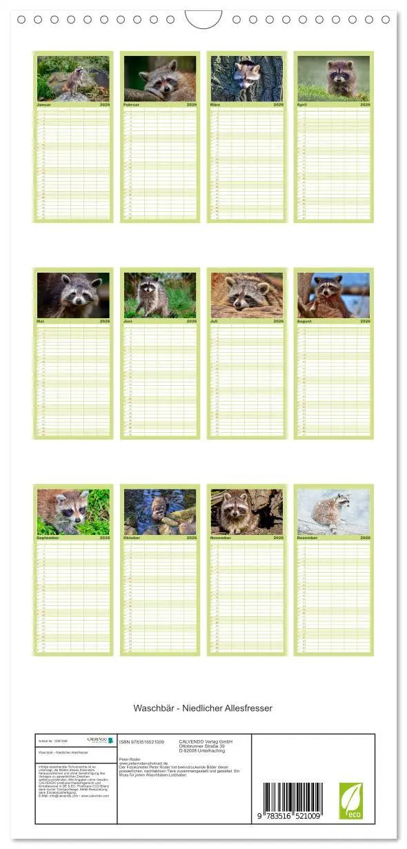 Bild: 9783516521009 | Familienplaner 2026 - Waschbär - Niedlicher Allesfresser mit 5...