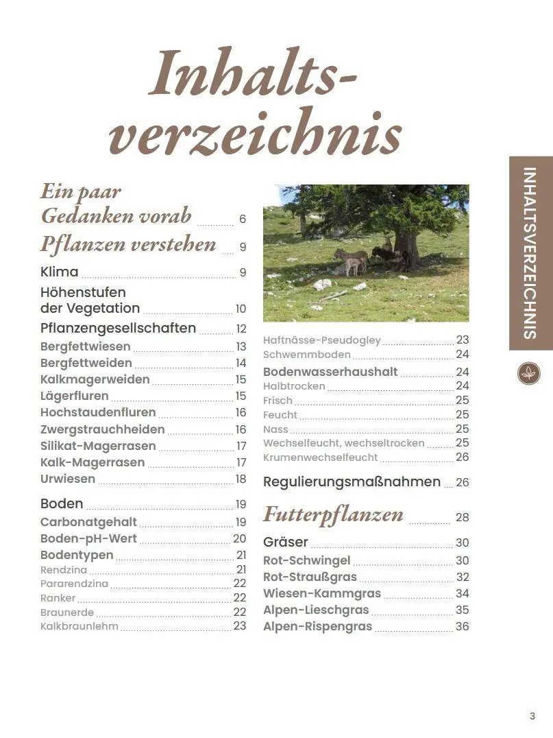 Bild: 9783702021009 | Praxisführer Almpflanzen | Andreas Bohner | Buch | 176 S. | Deutsch