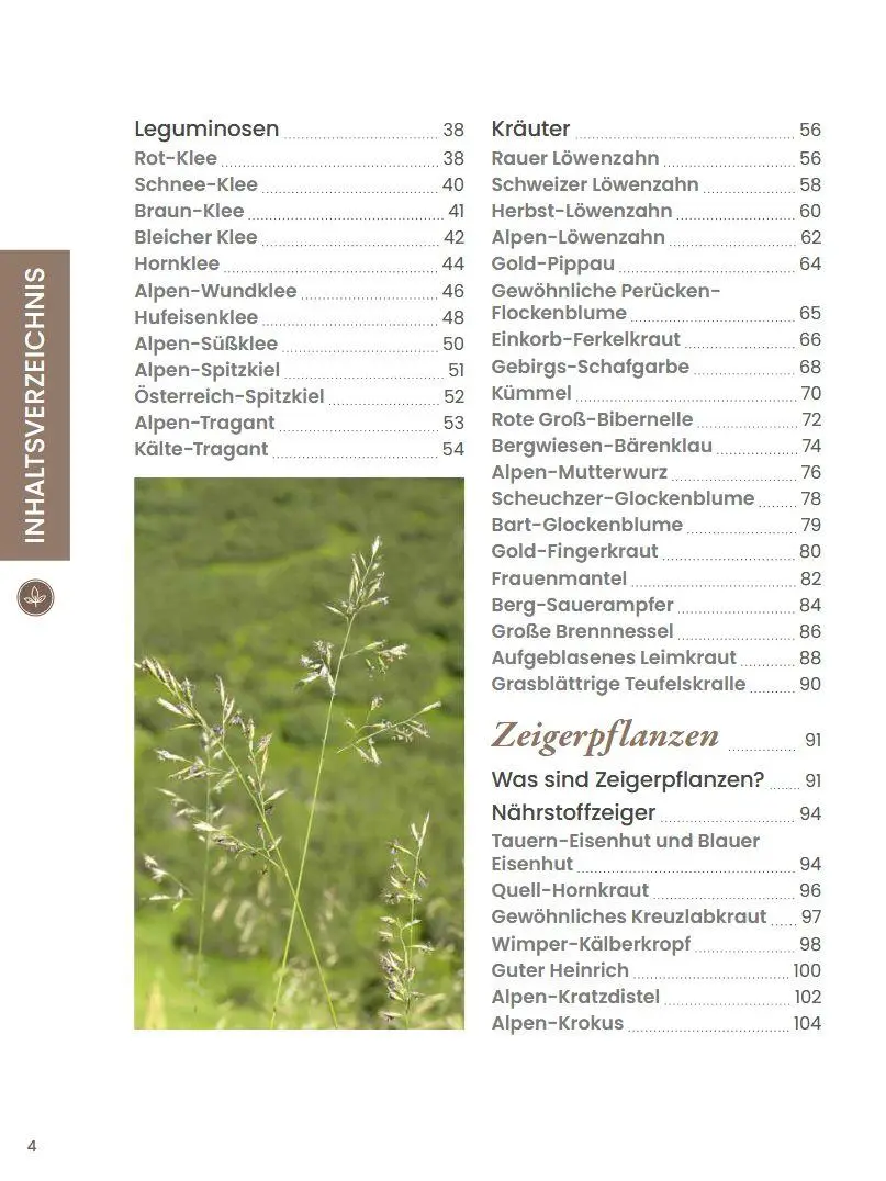 Bild: 9783702021009 | Praxisführer Almpflanzen | Andreas Bohner | Buch | 176 S. | Deutsch