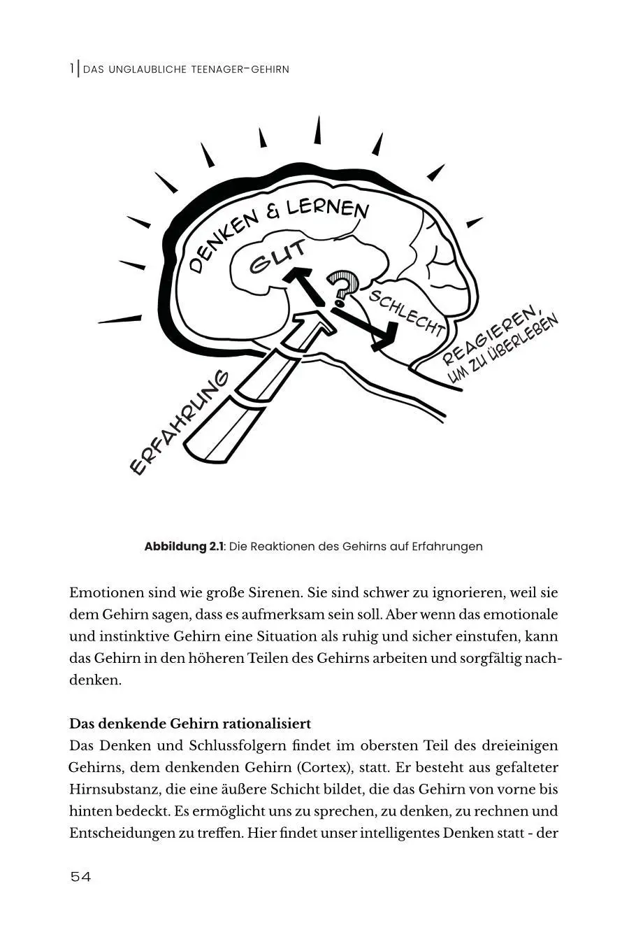 Bild: 9783986571009 | Das unglaubliche TEENAGER-GEHIRN | Josef Mickey Müller | Taschenbuch