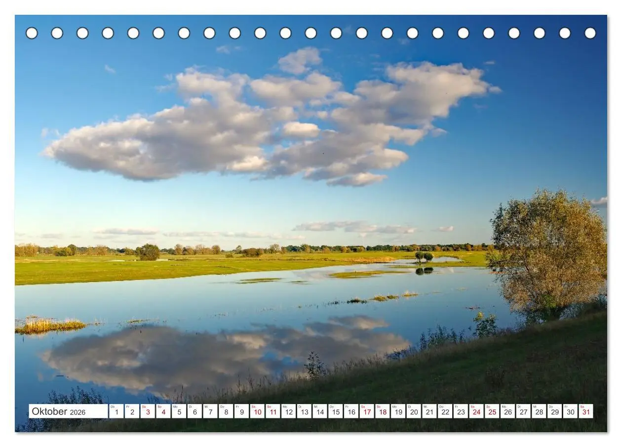 Bild: 9783457801109 | Wildes Wendland (Tischkalender 2026 DIN A5 quer), CALVENDO...