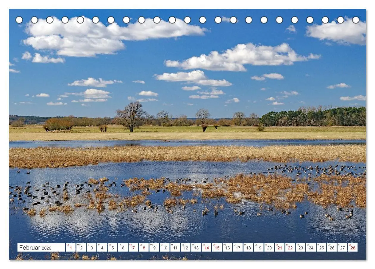 Bild: 9783457801109 | Wildes Wendland (Tischkalender 2026 DIN A5 quer), CALVENDO...
