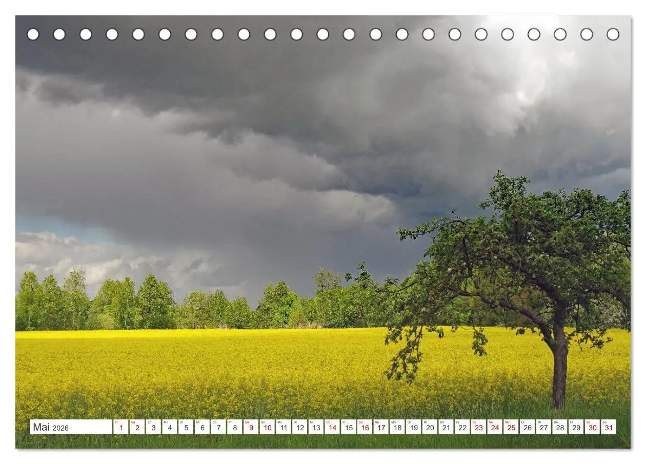 Bild: 9783457801109 | Wildes Wendland (Tischkalender 2026 DIN A5 quer), CALVENDO...
