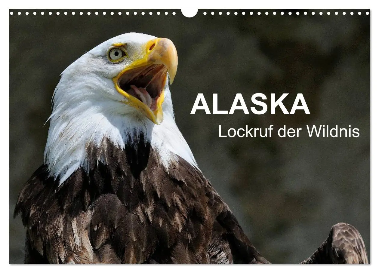 Cover: 9783516061109 | Alaska - Lockruf der Wildnis (Wandkalender 2026 DIN A3 quer),...