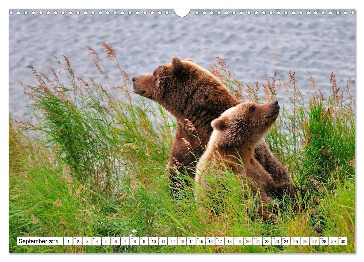 Bild: 9783516061109 | Alaska - Lockruf der Wildnis (Wandkalender 2026 DIN A3 quer),...