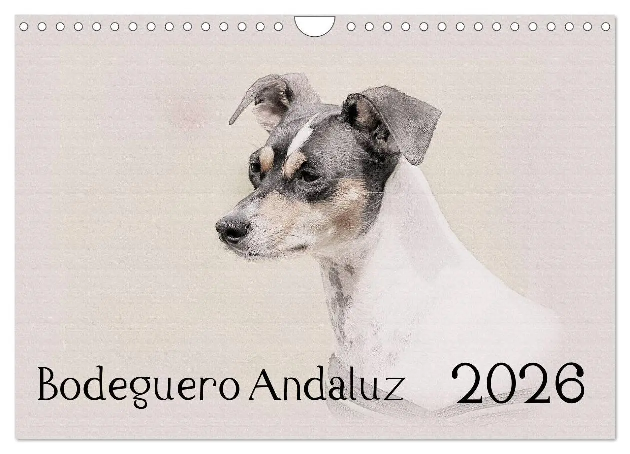 Cover: 9783516131109 | Bodeguero Andaluz 2026 (Wandkalender 2026 DIN A4 quer), CALVENDO...