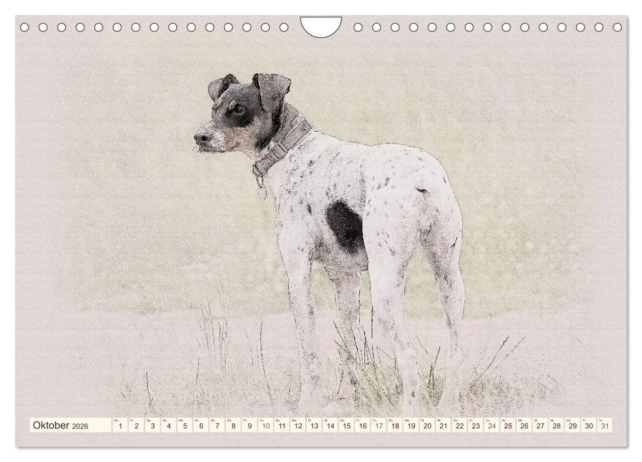Bild: 9783516131109 | Bodeguero Andaluz 2026 (Wandkalender 2026 DIN A4 quer), CALVENDO...
