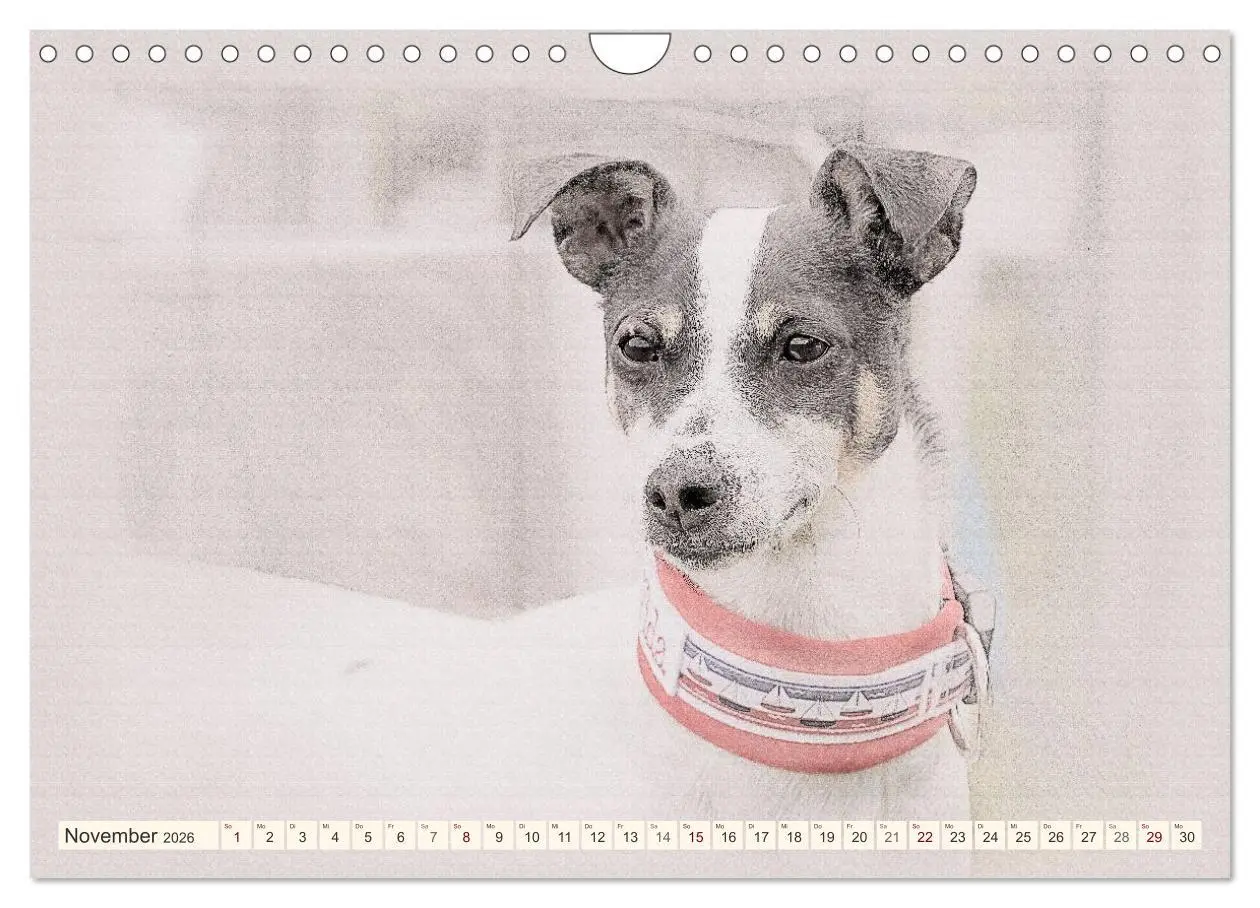 Bild: 9783516131109 | Bodeguero Andaluz 2026 (Wandkalender 2026 DIN A4 quer), CALVENDO...