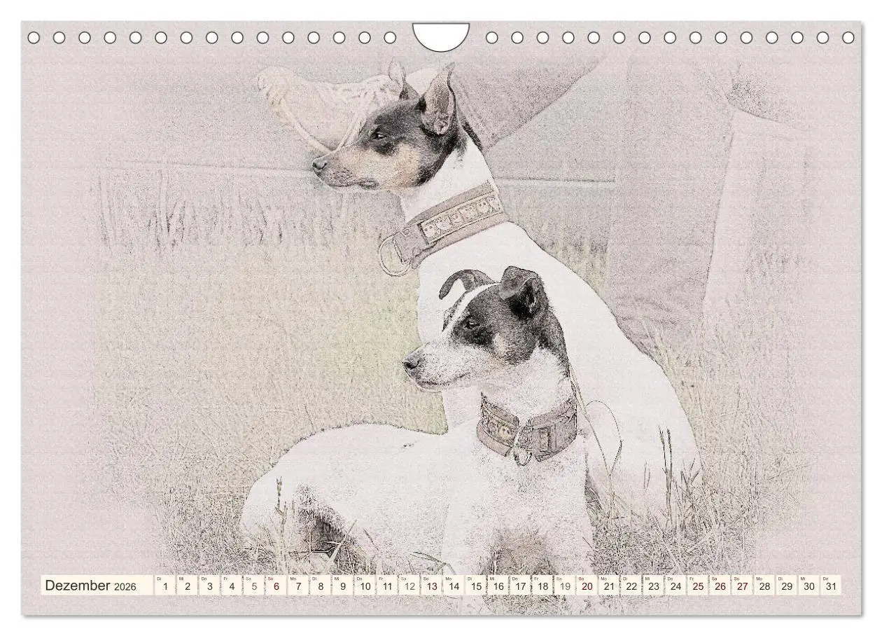 Bild: 9783516131109 | Bodeguero Andaluz 2026 (Wandkalender 2026 DIN A4 quer), CALVENDO...