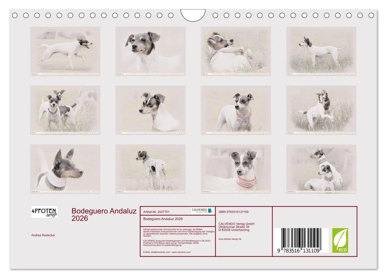 Bild: 9783516131109 | Bodeguero Andaluz 2026 (Wandkalender 2026 DIN A4 quer), CALVENDO...