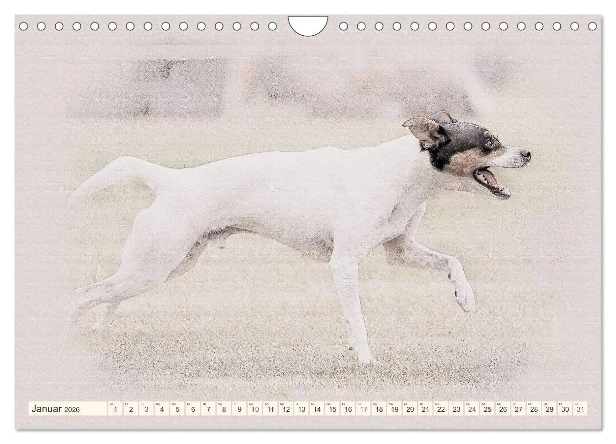 Bild: 9783516131109 | Bodeguero Andaluz 2026 (Wandkalender 2026 DIN A4 quer), CALVENDO...