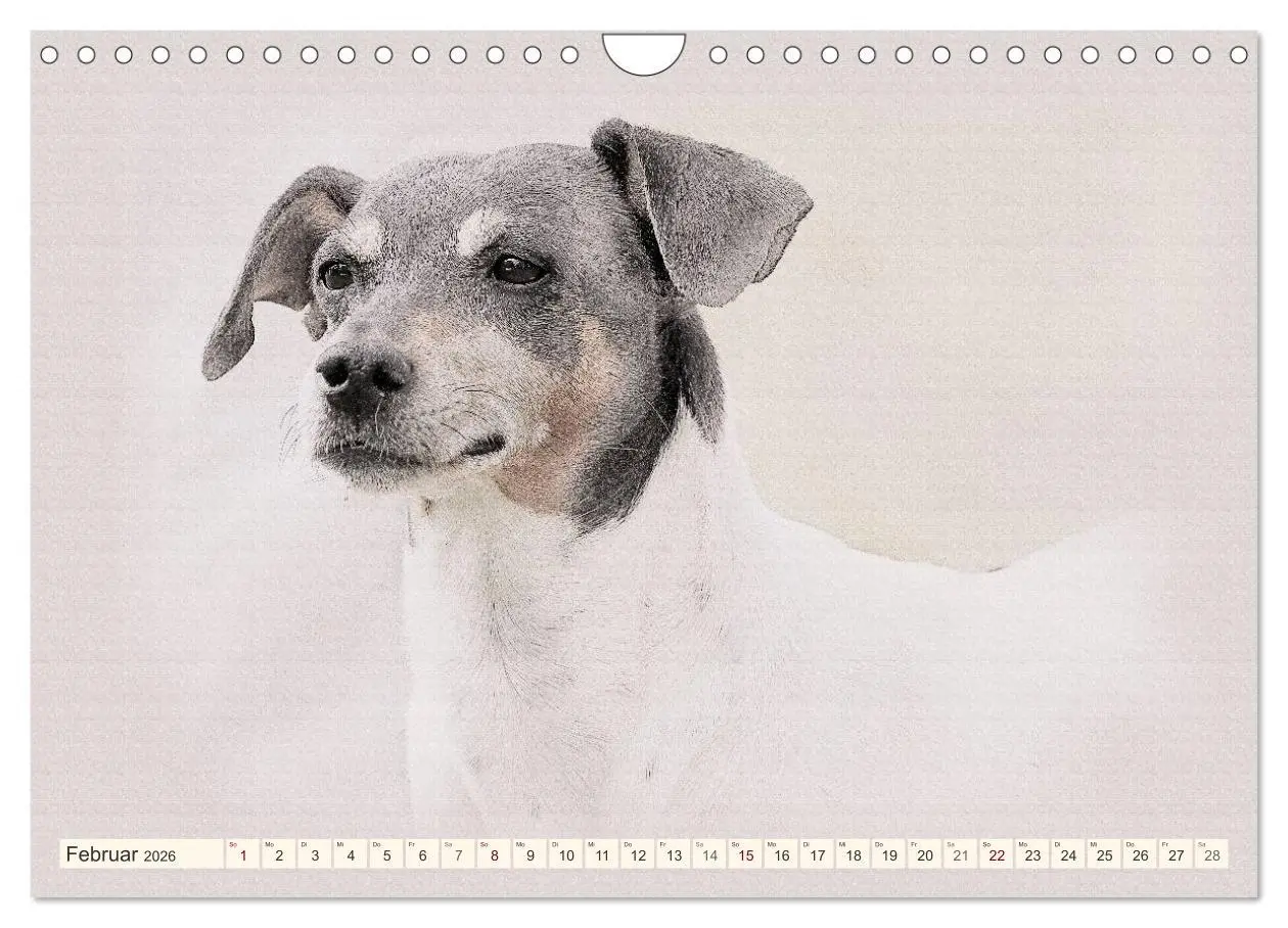 Bild: 9783516131109 | Bodeguero Andaluz 2026 (Wandkalender 2026 DIN A4 quer), CALVENDO...