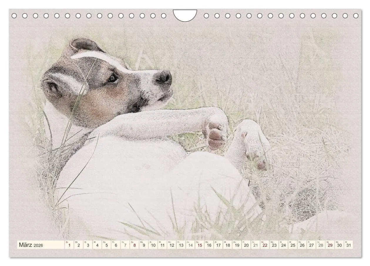 Bild: 9783516131109 | Bodeguero Andaluz 2026 (Wandkalender 2026 DIN A4 quer), CALVENDO...