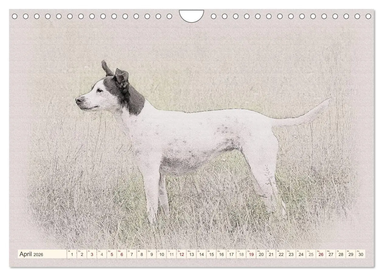 Bild: 9783516131109 | Bodeguero Andaluz 2026 (Wandkalender 2026 DIN A4 quer), CALVENDO...