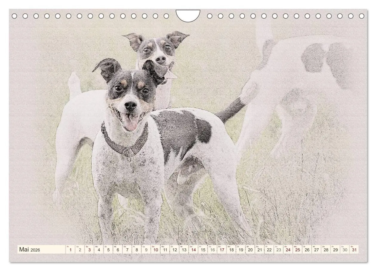 Bild: 9783516131109 | Bodeguero Andaluz 2026 (Wandkalender 2026 DIN A4 quer), CALVENDO...