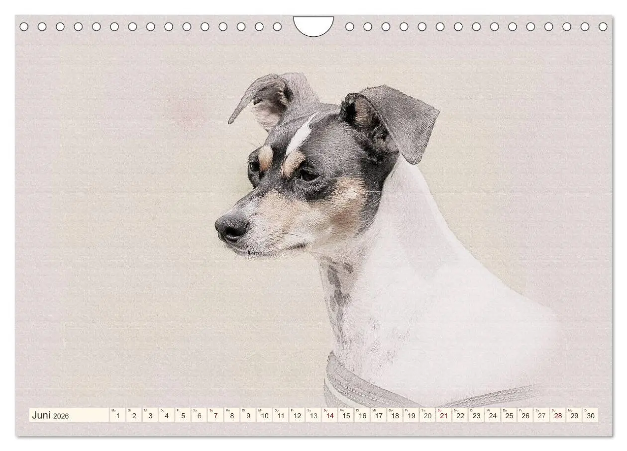 Bild: 9783516131109 | Bodeguero Andaluz 2026 (Wandkalender 2026 DIN A4 quer), CALVENDO...