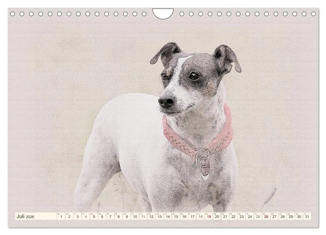 Bild: 9783516131109 | Bodeguero Andaluz 2026 (Wandkalender 2026 DIN A4 quer), CALVENDO...