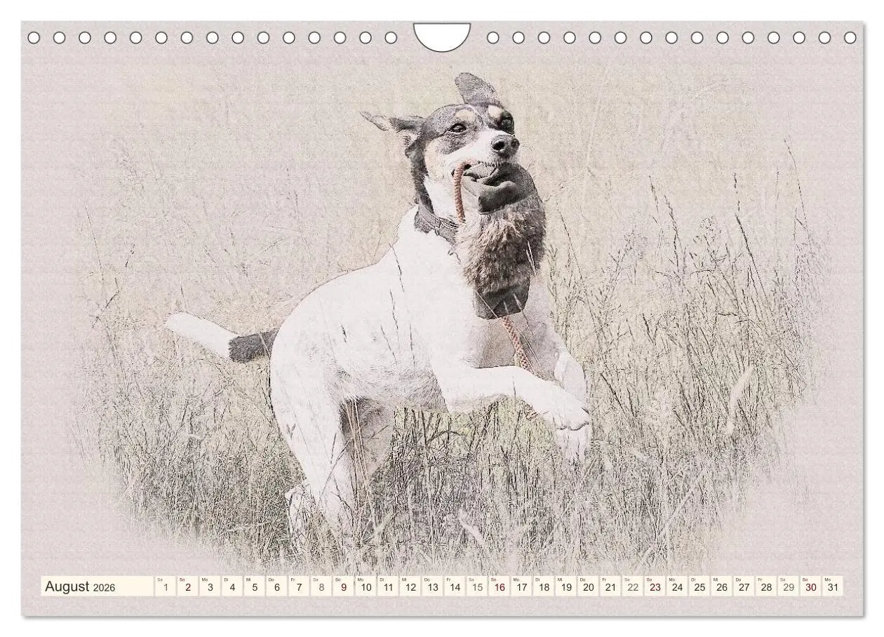 Bild: 9783516131109 | Bodeguero Andaluz 2026 (Wandkalender 2026 DIN A4 quer), CALVENDO...