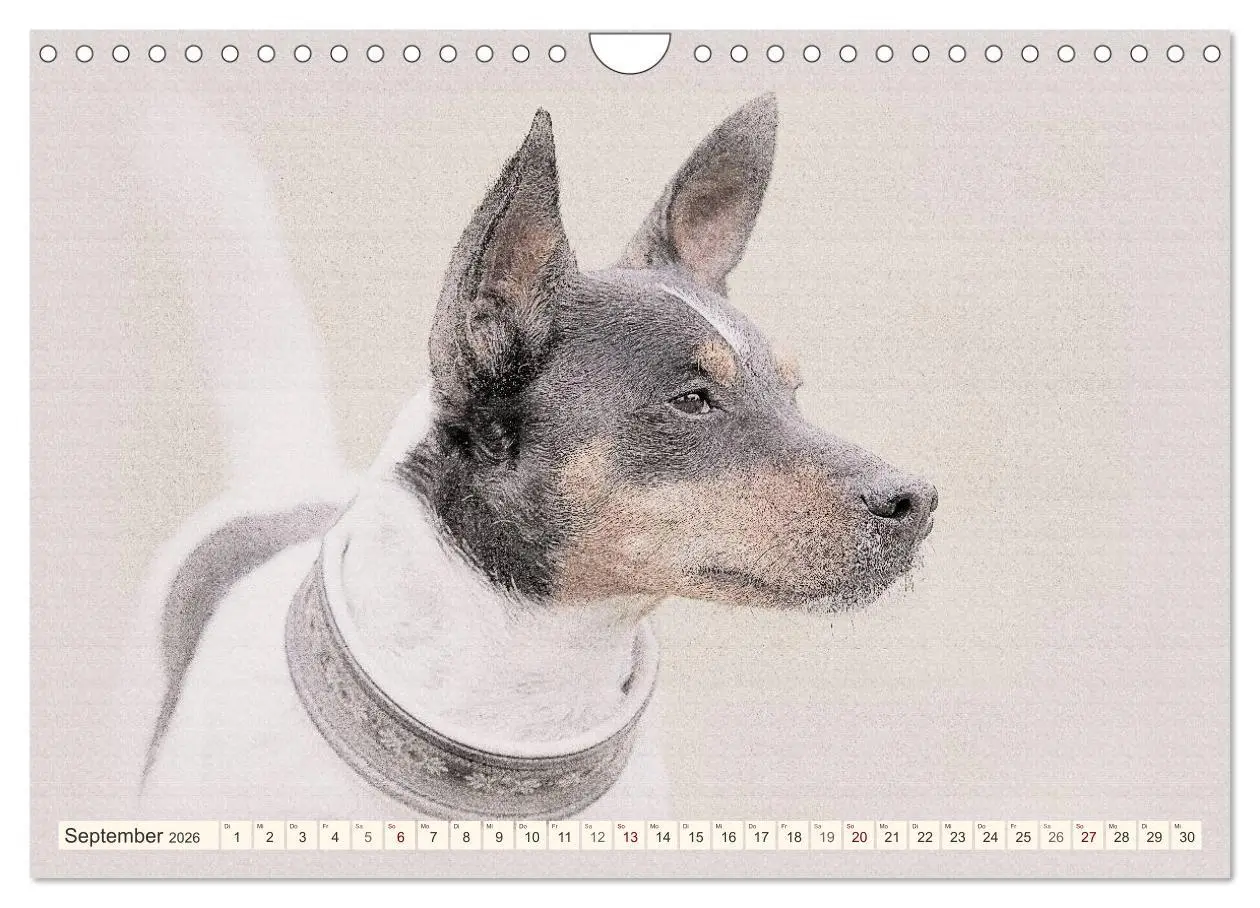 Bild: 9783516131109 | Bodeguero Andaluz 2026 (Wandkalender 2026 DIN A4 quer), CALVENDO...