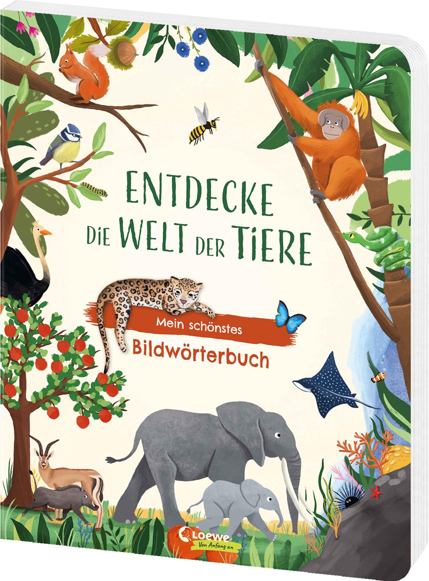 Cover: 9783743221109 | Entdecke die Welt der Tiere - Mein schönstes Bildwörterbuch | Buch