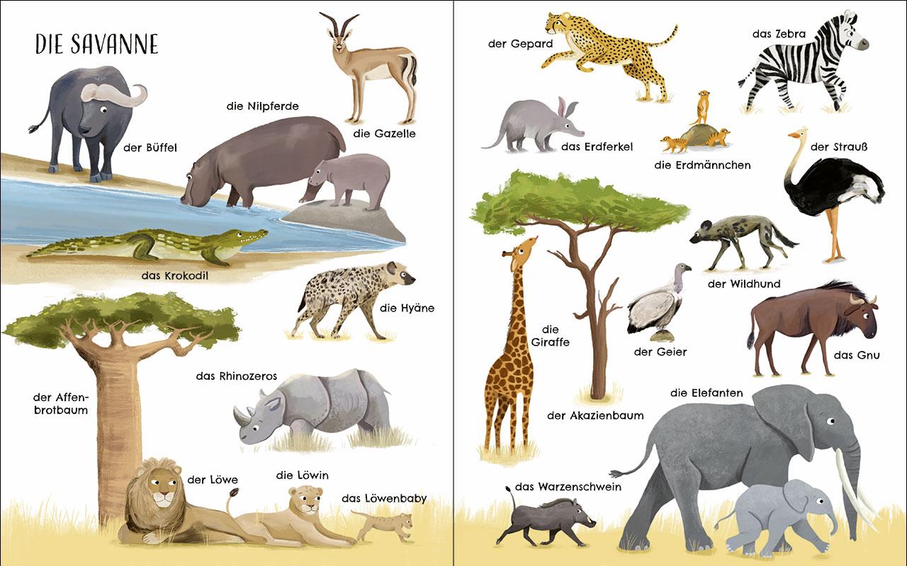 Bild: 9783743221109 | Entdecke die Welt der Tiere - Mein schönstes Bildwörterbuch | Buch