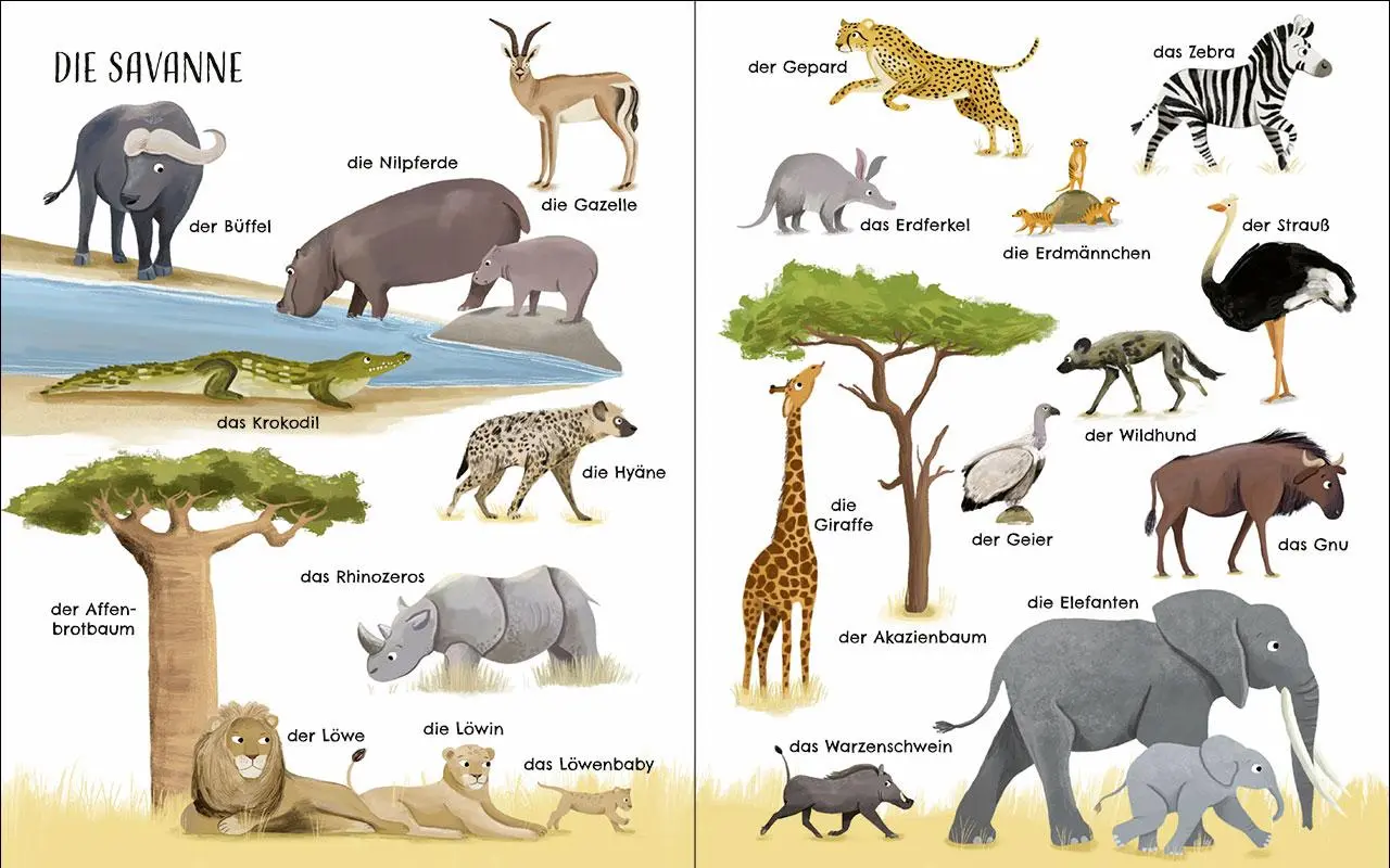 Bild: 9783743221109 | Entdecke die Welt der Tiere - Mein schönstes Bildwörterbuch | Buch