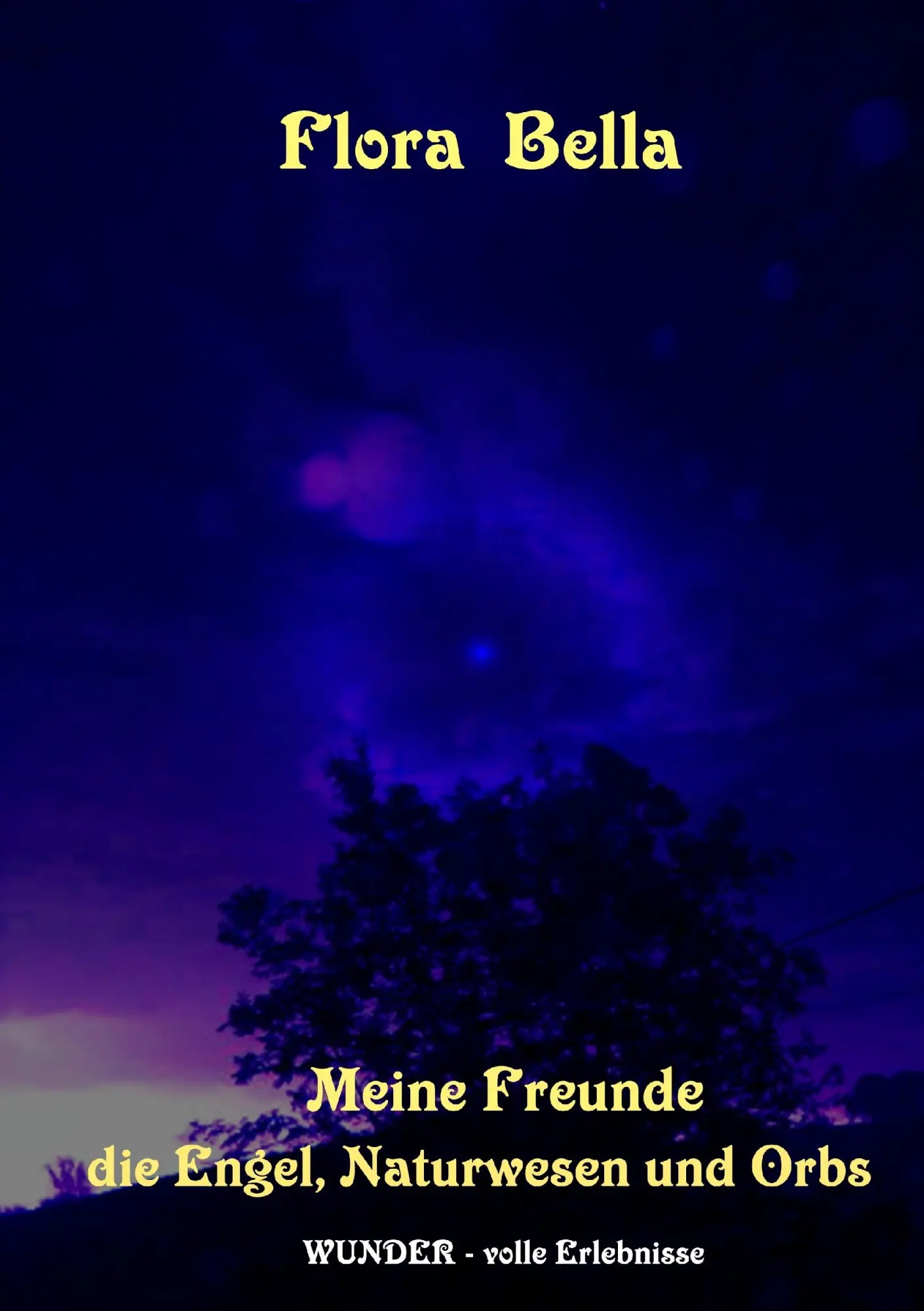 Cover: 9783839111109 | Meine Freunde die Engel, Naturwesen und Orbs | Flora Bella | Buch