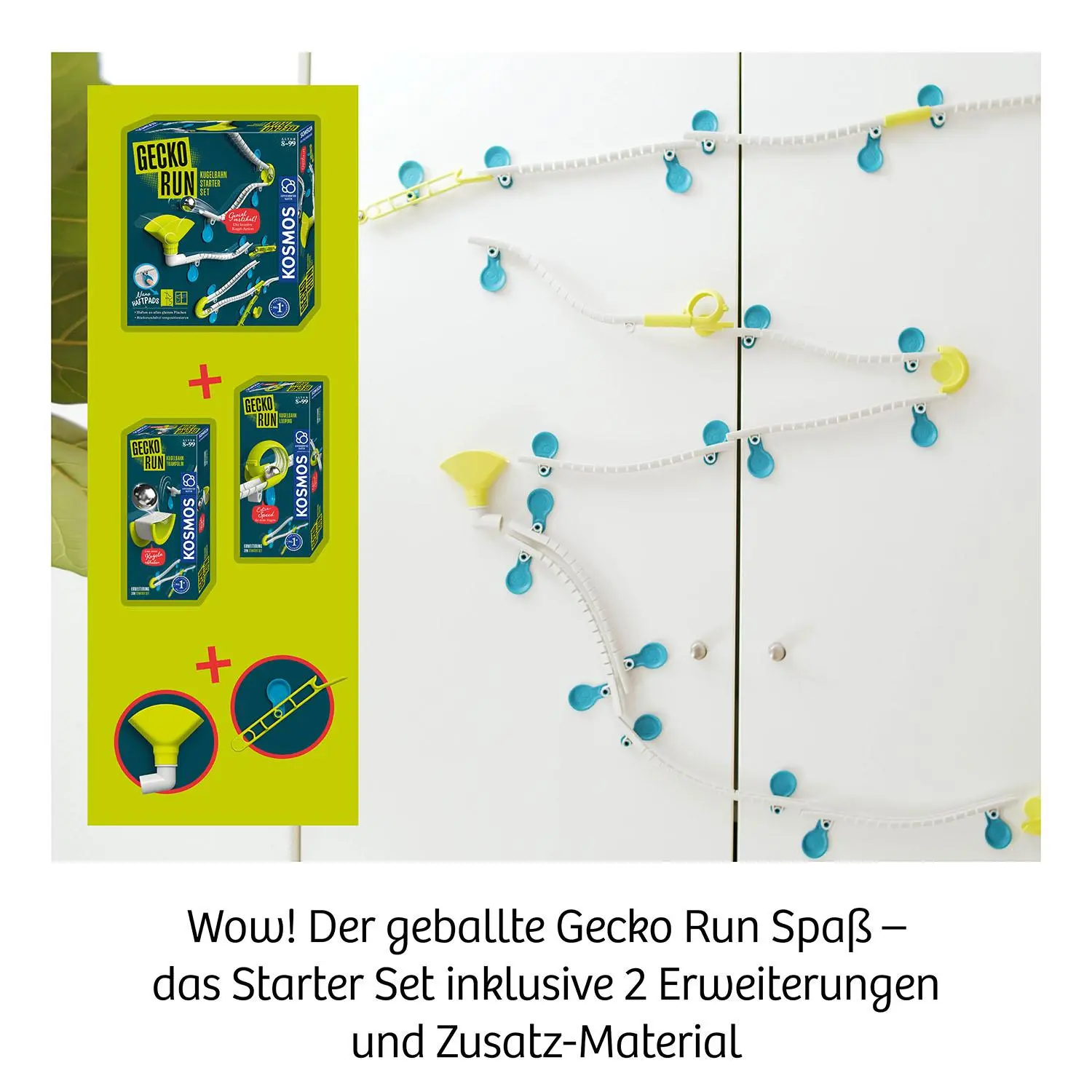 Bild: 4002051621209 | Gecko Run, Big Box | Experimentierkasten | Spiel | 621209 | Deutsch