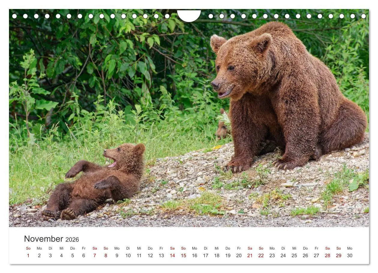 Bild: 9783457341209 | Siebenbürgen und das Fagaras Gebirge (Wandkalender 2026 DIN A4...