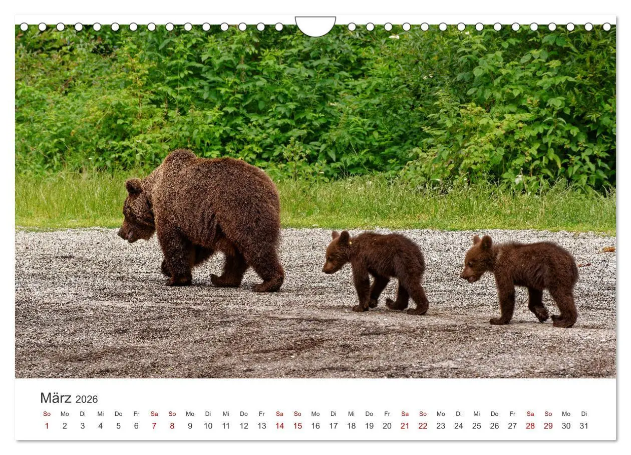 Bild: 9783457341209 | Siebenbürgen und das Fagaras Gebirge (Wandkalender 2026 DIN A4...