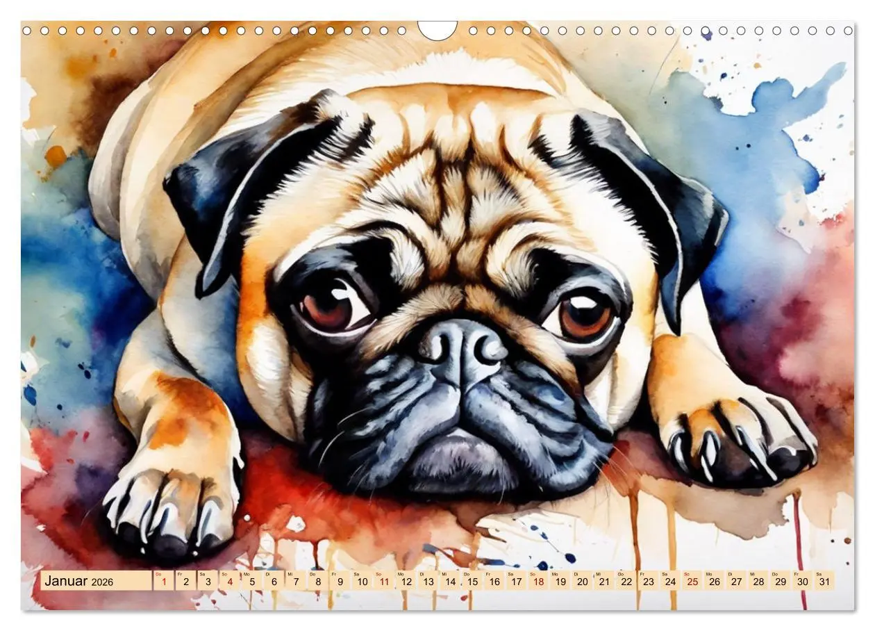 Bild: 9783457411209 | Knuffige Möpse (Wandkalender 2026 DIN A3 quer), CALVENDO...