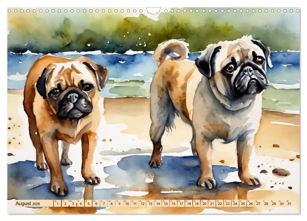 Bild: 9783457411209 | Knuffige Möpse (Wandkalender 2026 DIN A3 quer), CALVENDO...