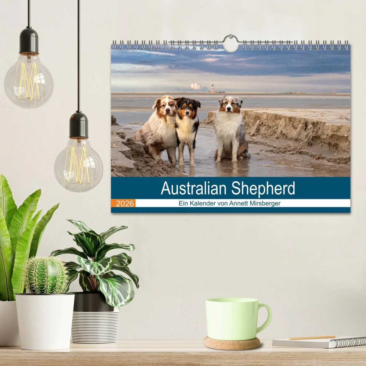 Bild: 9783516121209 | Australian Shepherd 2026 (Wandkalender 2026 DIN A4 quer), CALVENDO...