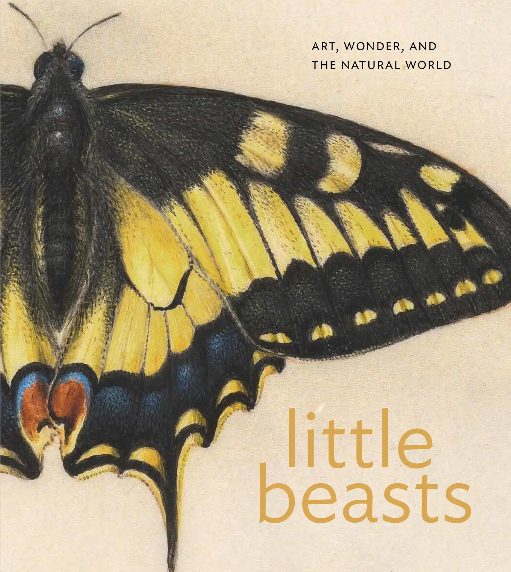 Cover: 9780691271309 | Little Beasts | Art, Wonder, and the Natural World | Libby (u. a.)