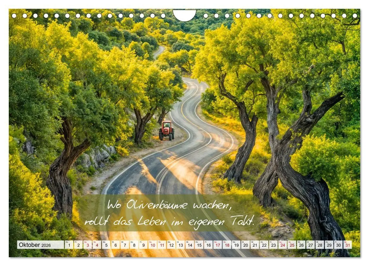 Bild: 9783516661309 | Wege zwischen Asphalt und Himmel - Achtsamkeitskalender mit...