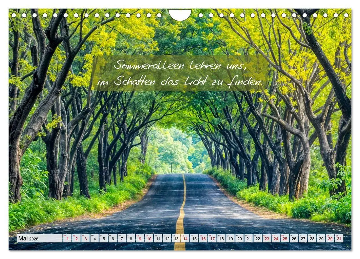 Bild: 9783516661309 | Wege zwischen Asphalt und Himmel - Achtsamkeitskalender mit...