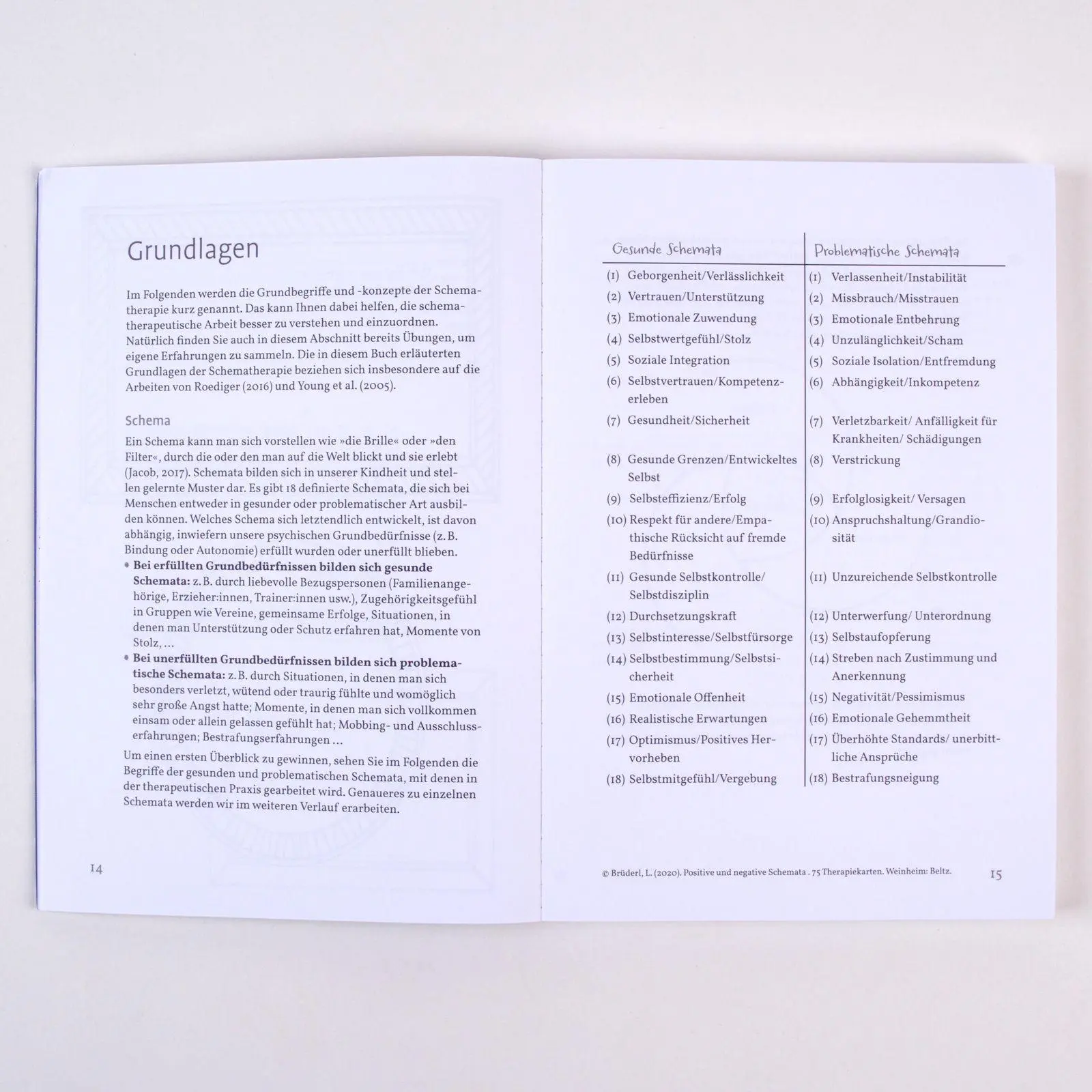 Bild: 9783621291309 | Meine Lebensmuster verändern | Fabienne Greiner-Albrecht | Taschenbuch