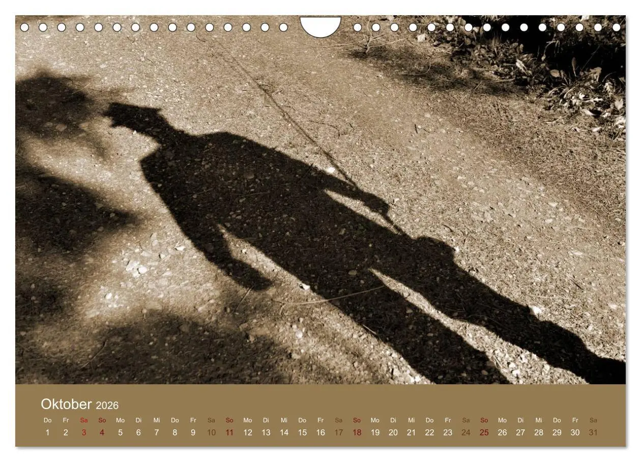 Bild: 9783516101409 | Fliegenfischen (Wandkalender 2026 DIN A4 quer), CALVENDO...