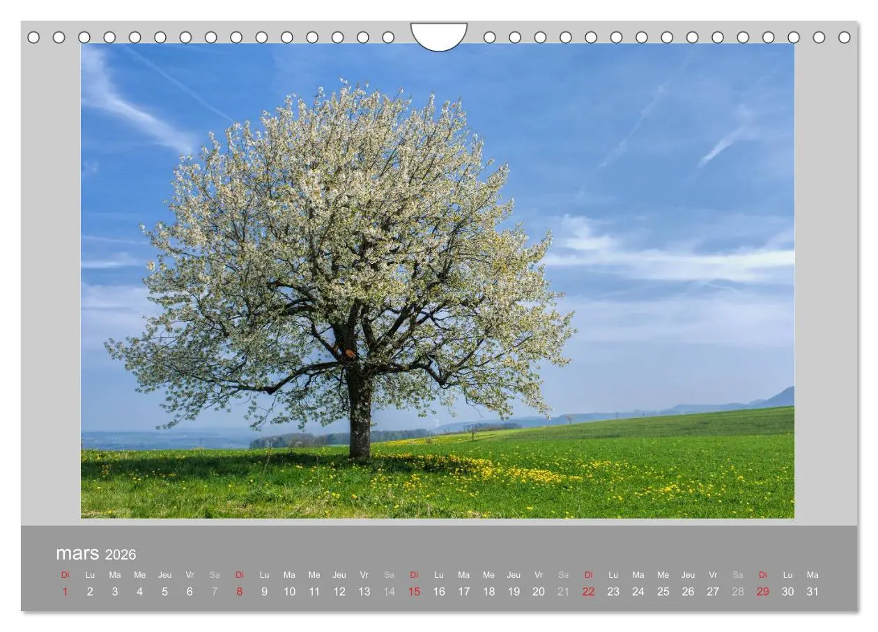 Bild: 9783516581409 | Suisse - Paysage de montagnes 2026 (Calendrier mural 2026 DIN A4...