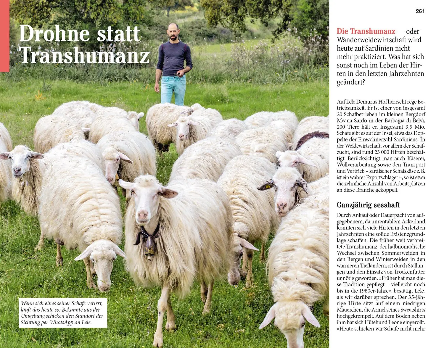 Bild: 9783616021409 | DUMONT Reise-Taschenbuch Reiseführer Sardinien | Stieglitz (u. a.)