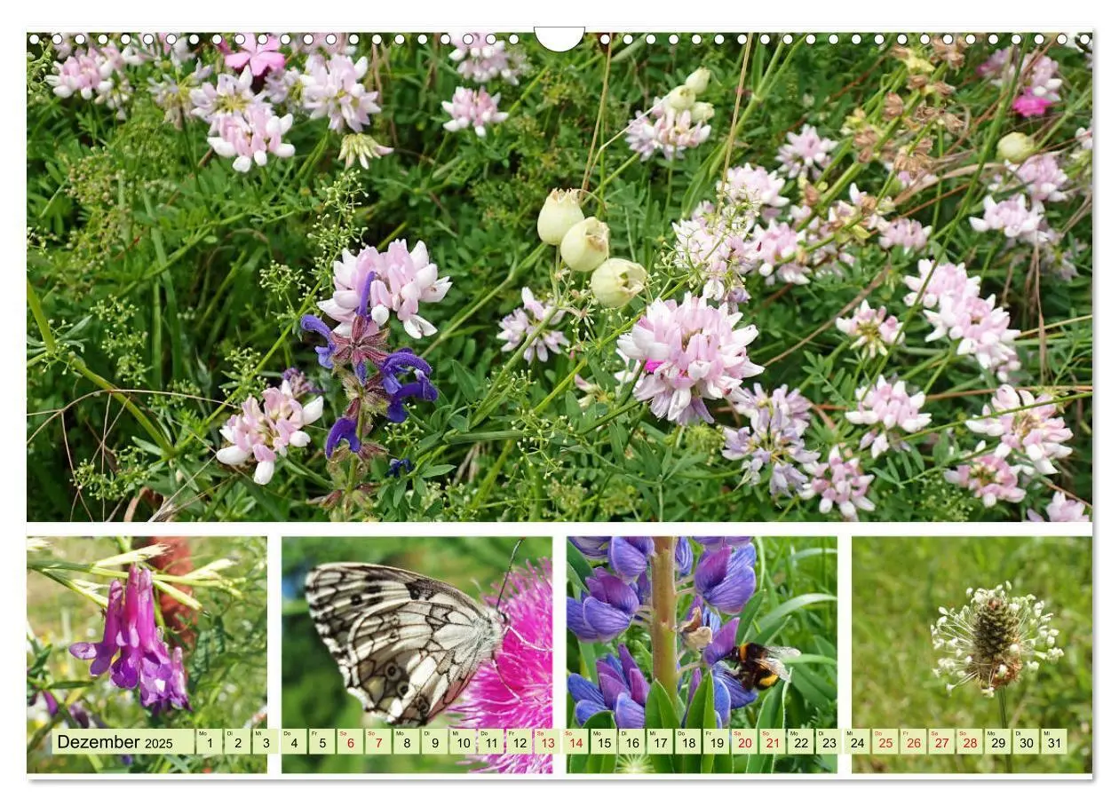 Bild: 9783435221509 | Blütenmeer am Wegesrand (Wandkalender 2025 DIN A3 quer), CALVENDO...