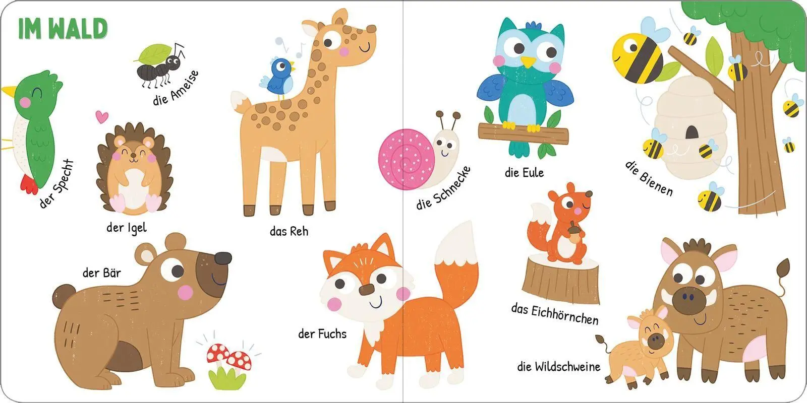 Bild: 9783845871509 | Ich kenne die Tiere | Damien Barlow | Buch | 12 S. | Deutsch | 2026