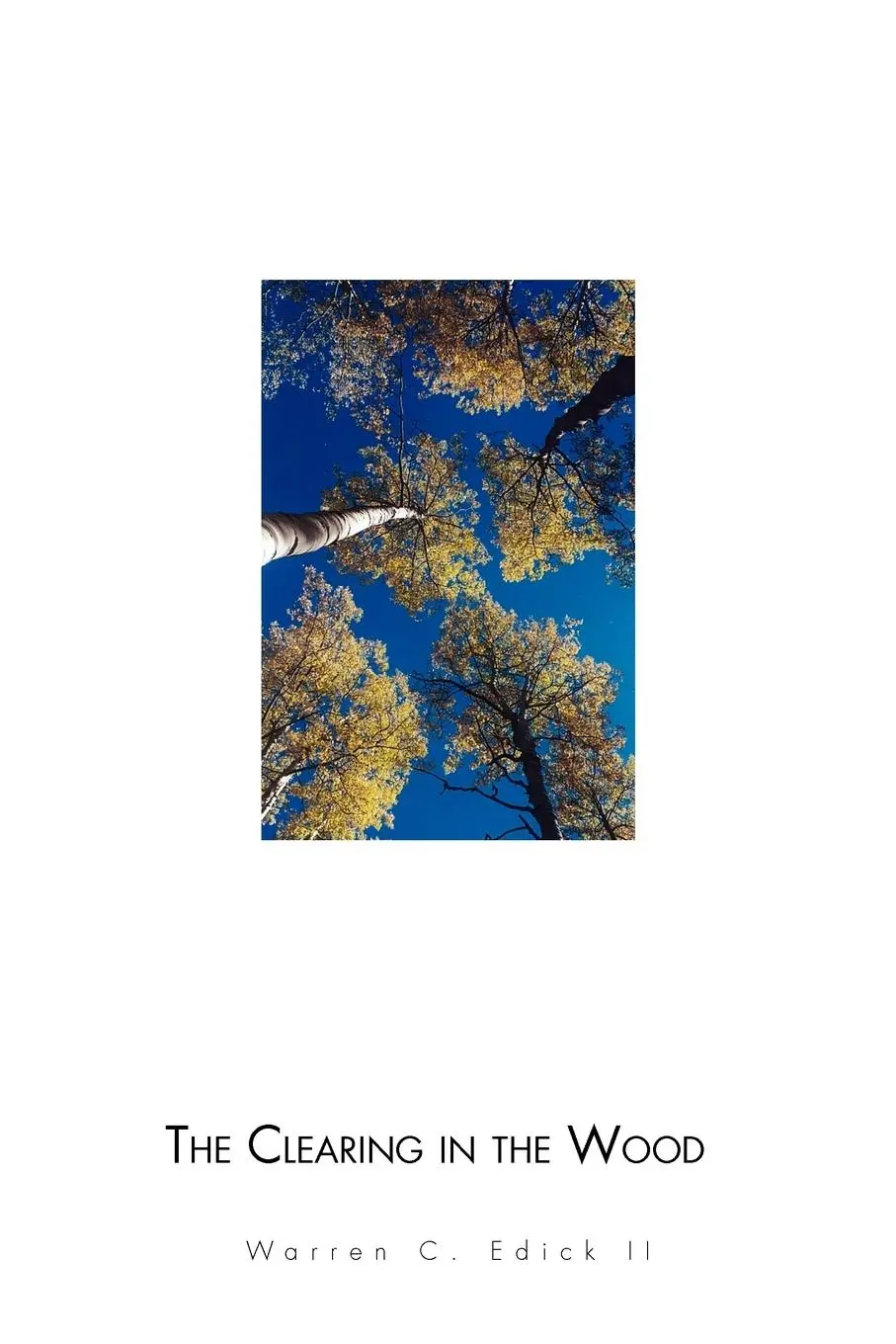 Cover: 9781453541609 | The Clearing in the Wood | Warren C. II Edick | Taschenbuch | Englisch
