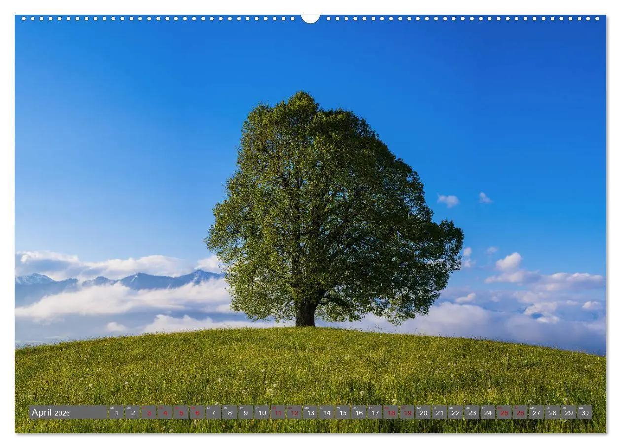 Bild: 9783457851609 | Schöne Wanderungen um Oberstdorf (Wandkalender 2026 DIN A2 quer),...