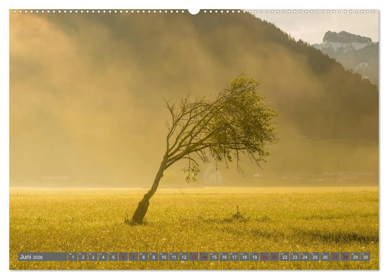 Bild: 9783457851609 | Schöne Wanderungen um Oberstdorf (Wandkalender 2026 DIN A2 quer),...