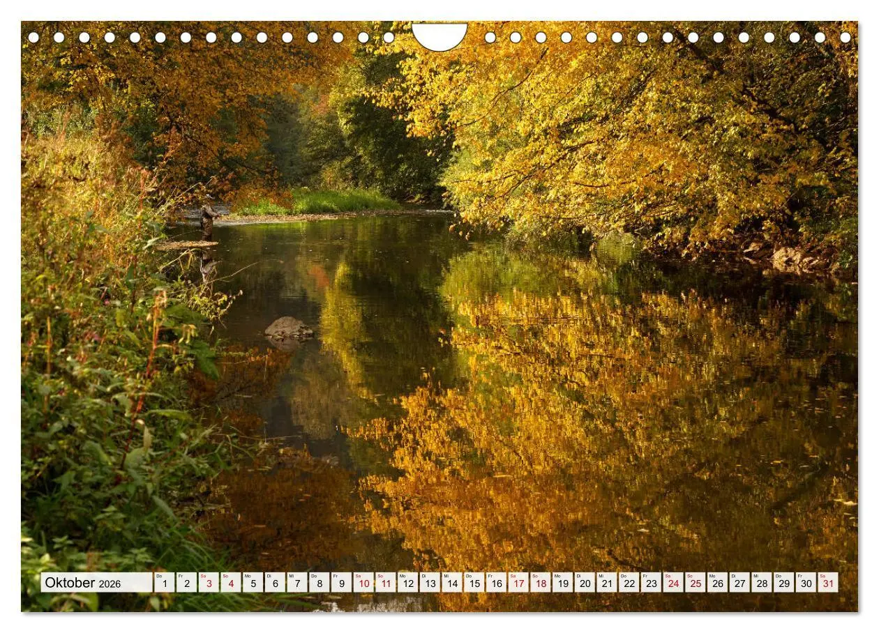 Bild: 9783457921609 | Urlaubsregion Schwarzwald (Wandkalender 2026 DIN A4 quer), CALVENDO...