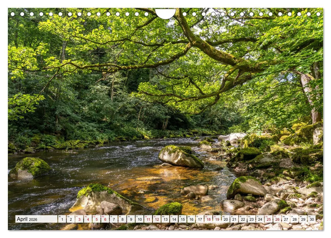 Bild: 9783457921609 | Urlaubsregion Schwarzwald (Wandkalender 2026 DIN A4 quer), CALVENDO...