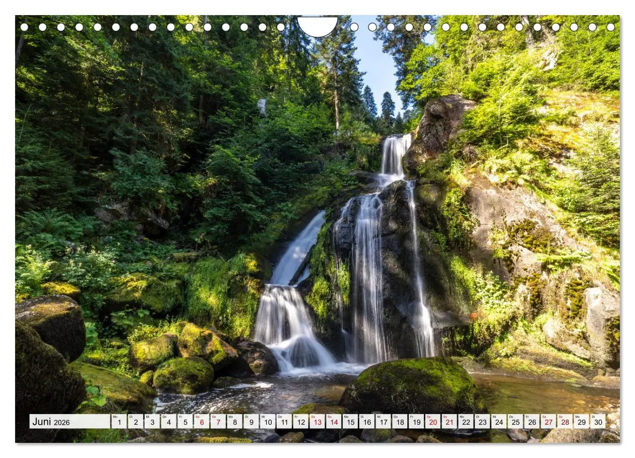 Bild: 9783457921609 | Urlaubsregion Schwarzwald (Wandkalender 2026 DIN A4 quer), CALVENDO...