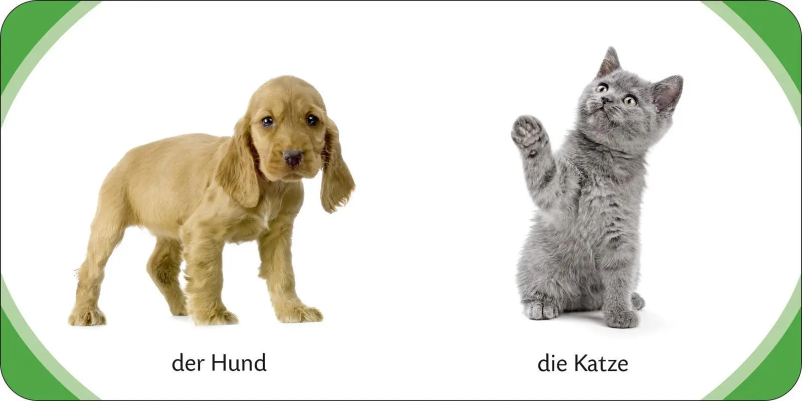 Bild: 9783737331609 | Kennst du das? Meine bunte Kinderwelt | Buch | 18 S. | Deutsch | 2013