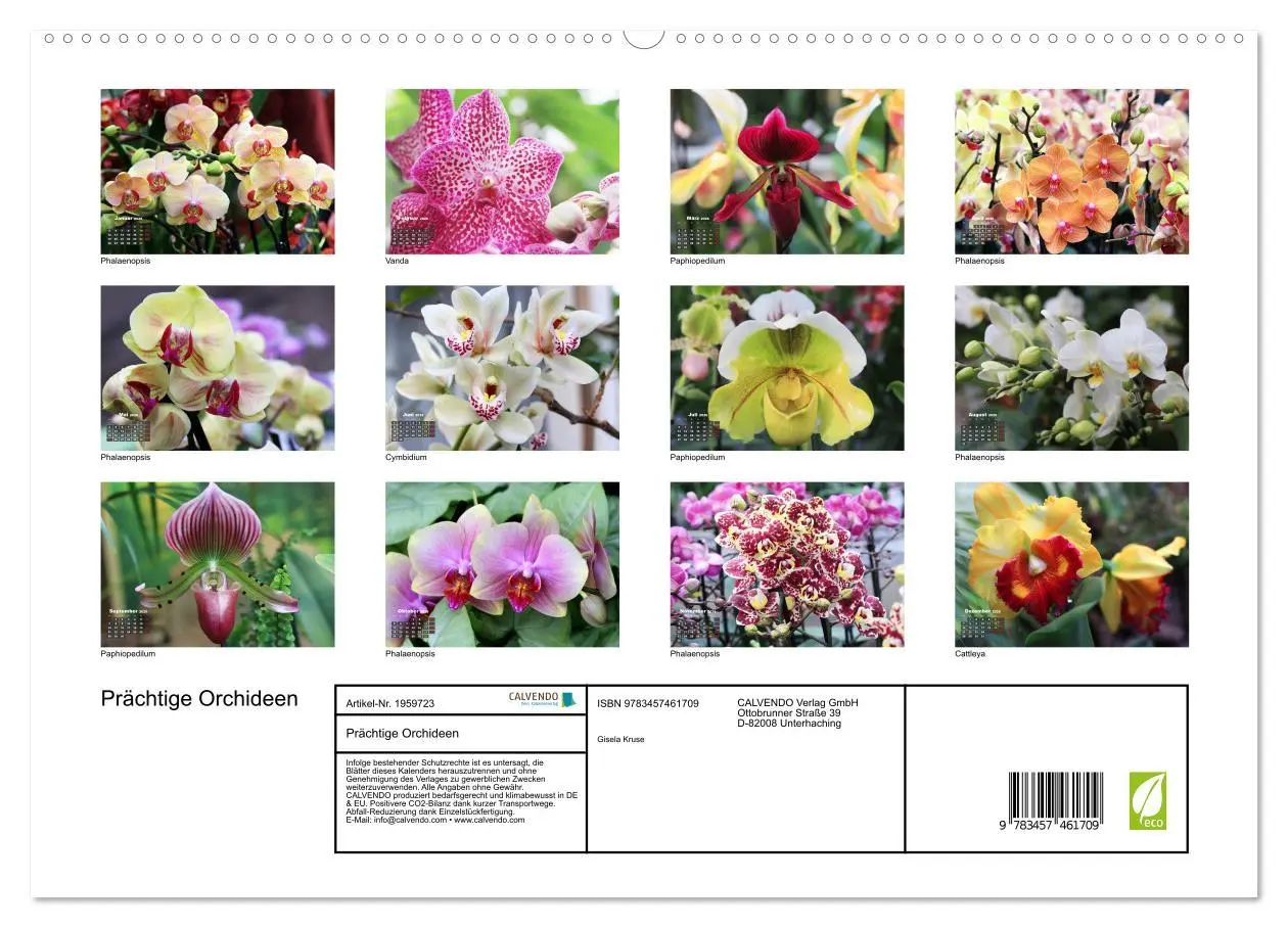 Bild: 9783457461709 | Prächtige Orchideen (hochwertiger Premium Wandkalender 2026 DIN A2...
